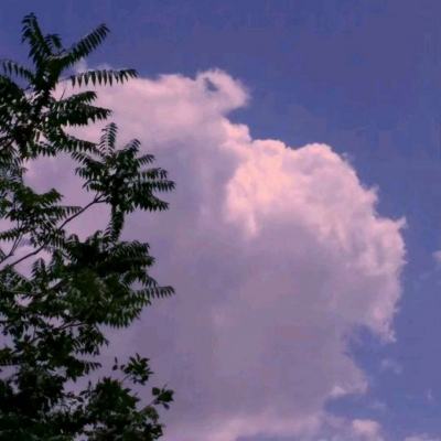 我独自恋爱中手机游戏下载