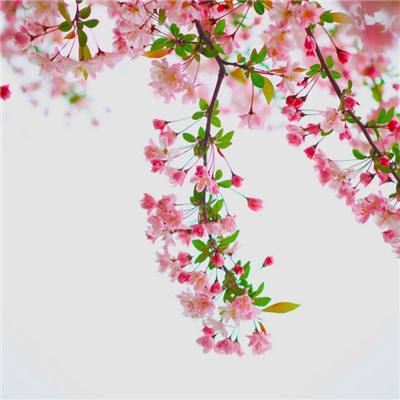 水果下落消除手机版(暂未上线)v1.0 安卓版