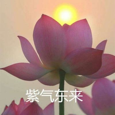 雪鹰领主手游测试服下载